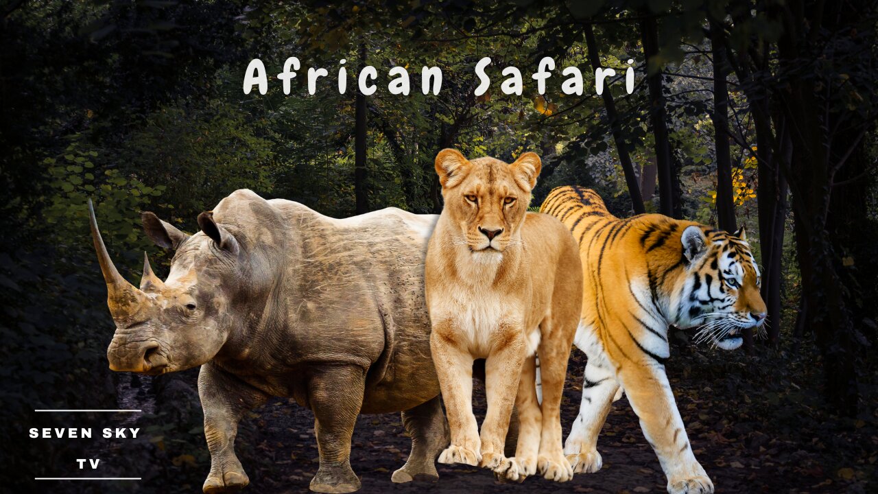 African Wildlife Animals | Safari Moments | Forest | Full HD Videos