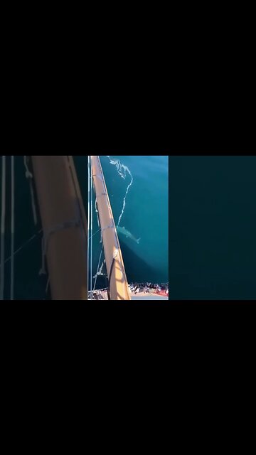 IMAGENS PERFEITAS #shortsviral #tiktok #comedy #shortsviral