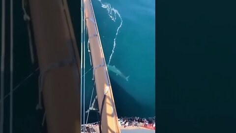 IMAGENS PERFEITAS #shortsviral #tiktok #comedy #shortsviral