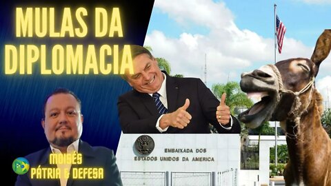 Calma Lá Gringo, O Palácio Tem Chefe. Defesa Tem 5 Dias