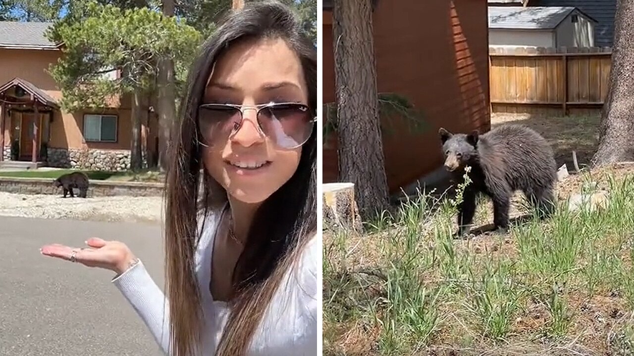 Woman had the cutest encounter with a cub during her bike ride