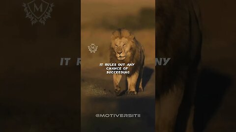 PEOPLE GIVE UP TO EARLY#shortfeed #motivation #reels #reel #quote #lion