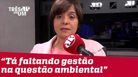 #VeraMagalhães: Bolsonaro e Salles não têm plano de gestão ambiental