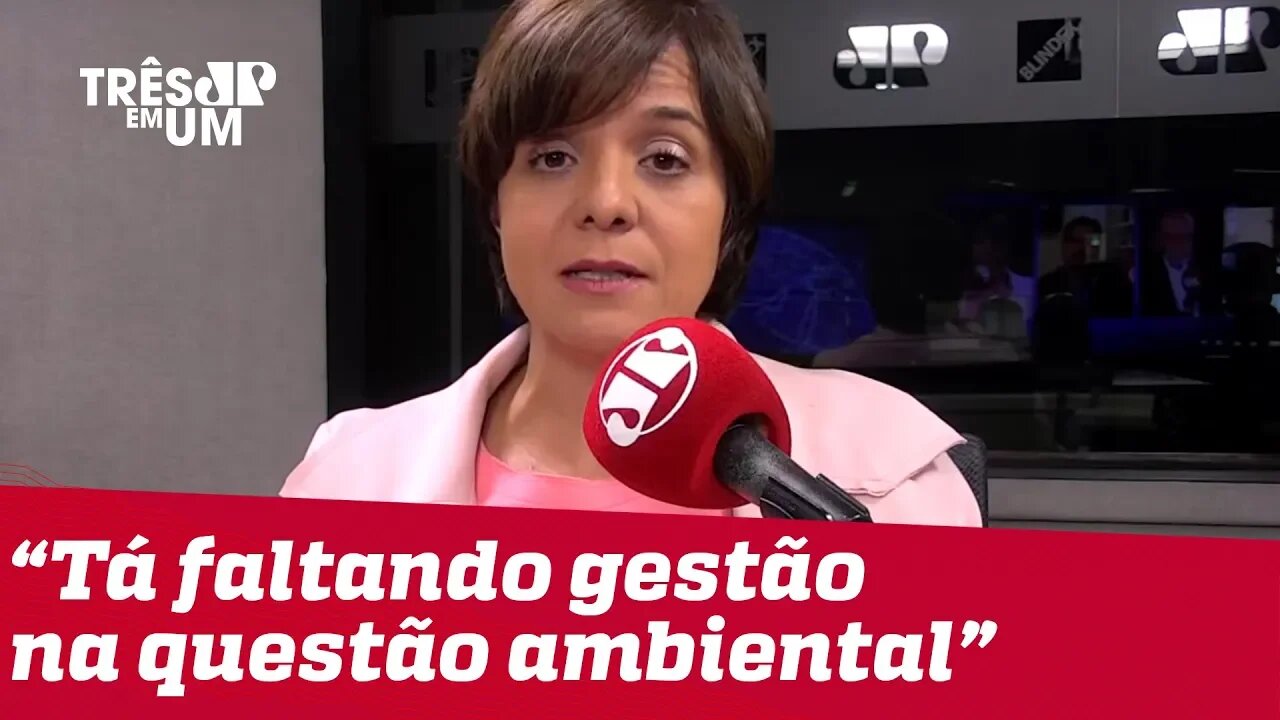 #VeraMagalhães: Bolsonaro e Salles não têm plano de gestão ambiental