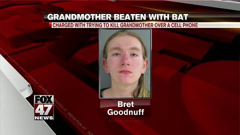 Teen charged for assaulting grandmother with bat over cellphone