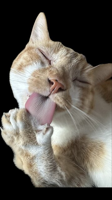 #Workout #Treadmill #Pilates #NoSleep #FYP #FYPViral #ILoveCoffee