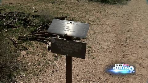 "Beat Back Buffelgrass" month launches to save our saguaros