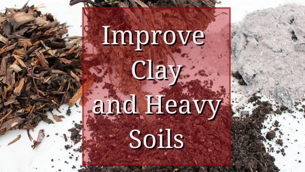 Improve Clay Soil