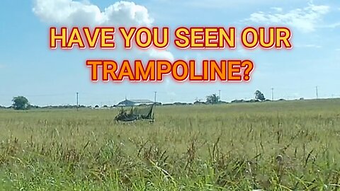 HONEY, HAVE YOU SEEN THE TRAMPOLINE?