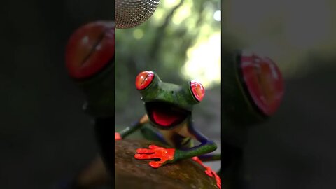 Techno frog 🐸