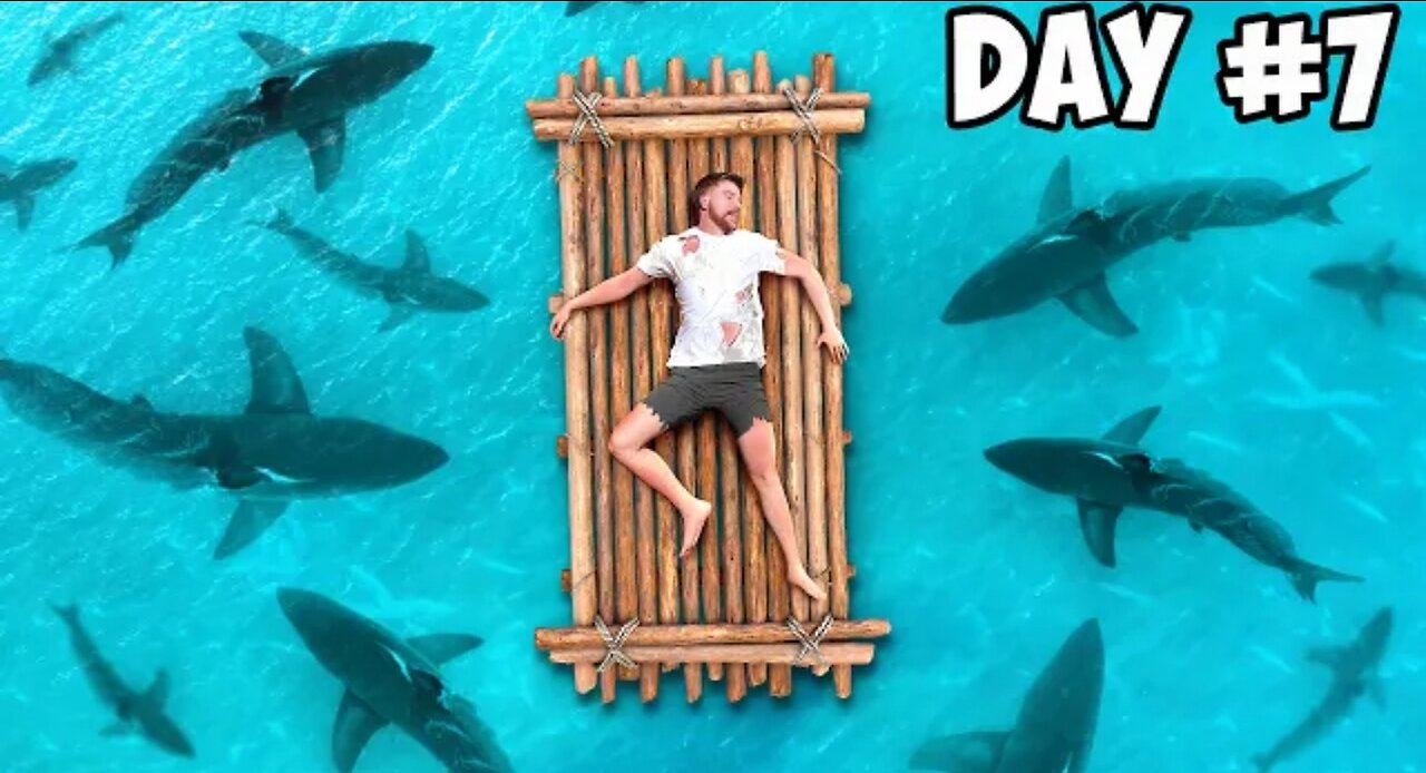 Shark attack my Team 😲 7days standed At Sea