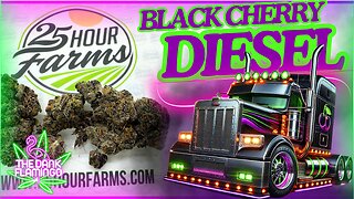 Trying Black Cherry Diesel THCa from 25 Hour Farms! The Dank Flamingo Cannabis Review!!