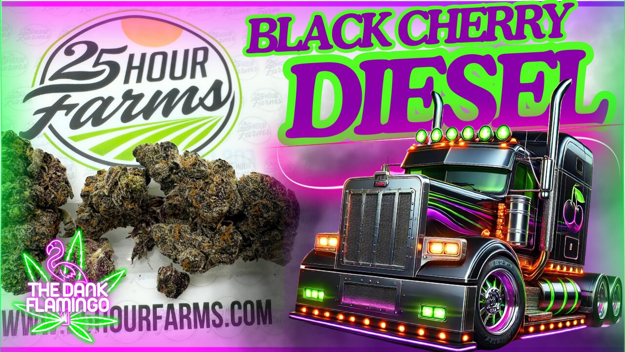 Trying Black Cherry Diesel THCa from 25 Hour Farms! The Dank Flamingo Cannabis Review!!