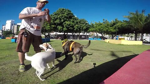 Treinando uma das meliantes e o 'marginalzinho' aparece "do nada" ...
