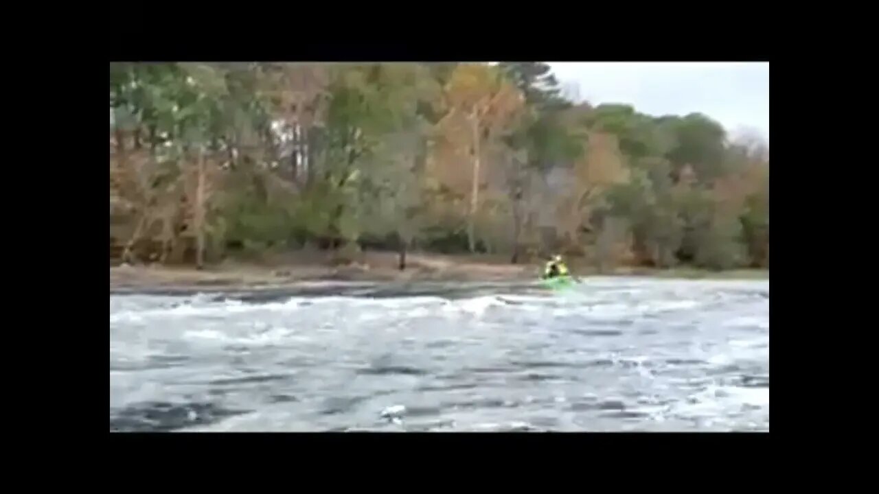 Patrick my service dog, loves kayaking