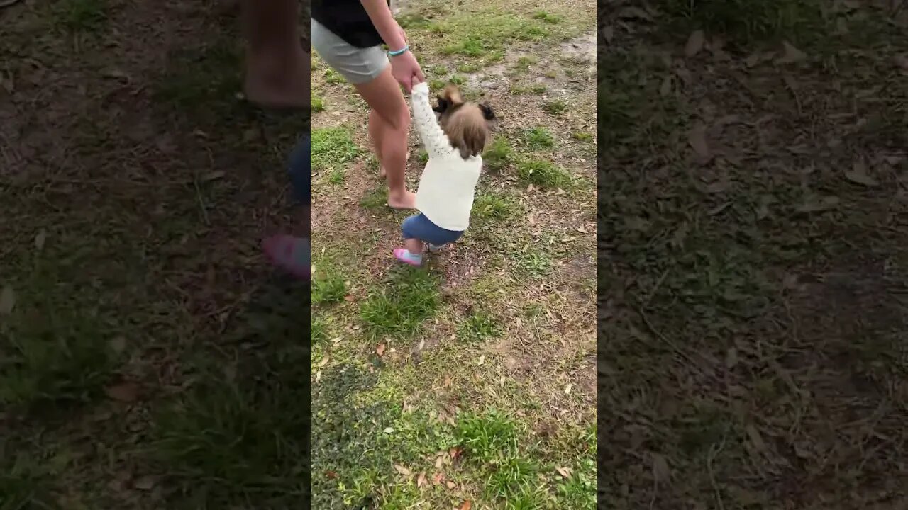Walking at the Park