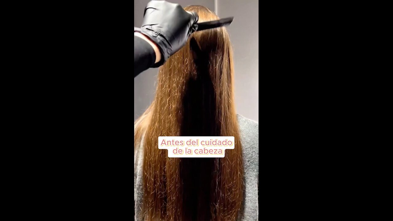 Define la excelencia para tu cabello