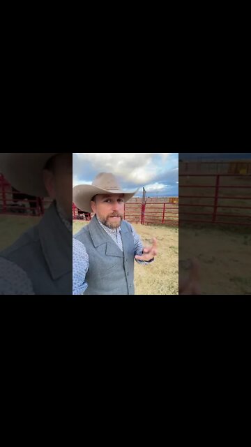How Much Land Does a Rancher Need to Make Money?