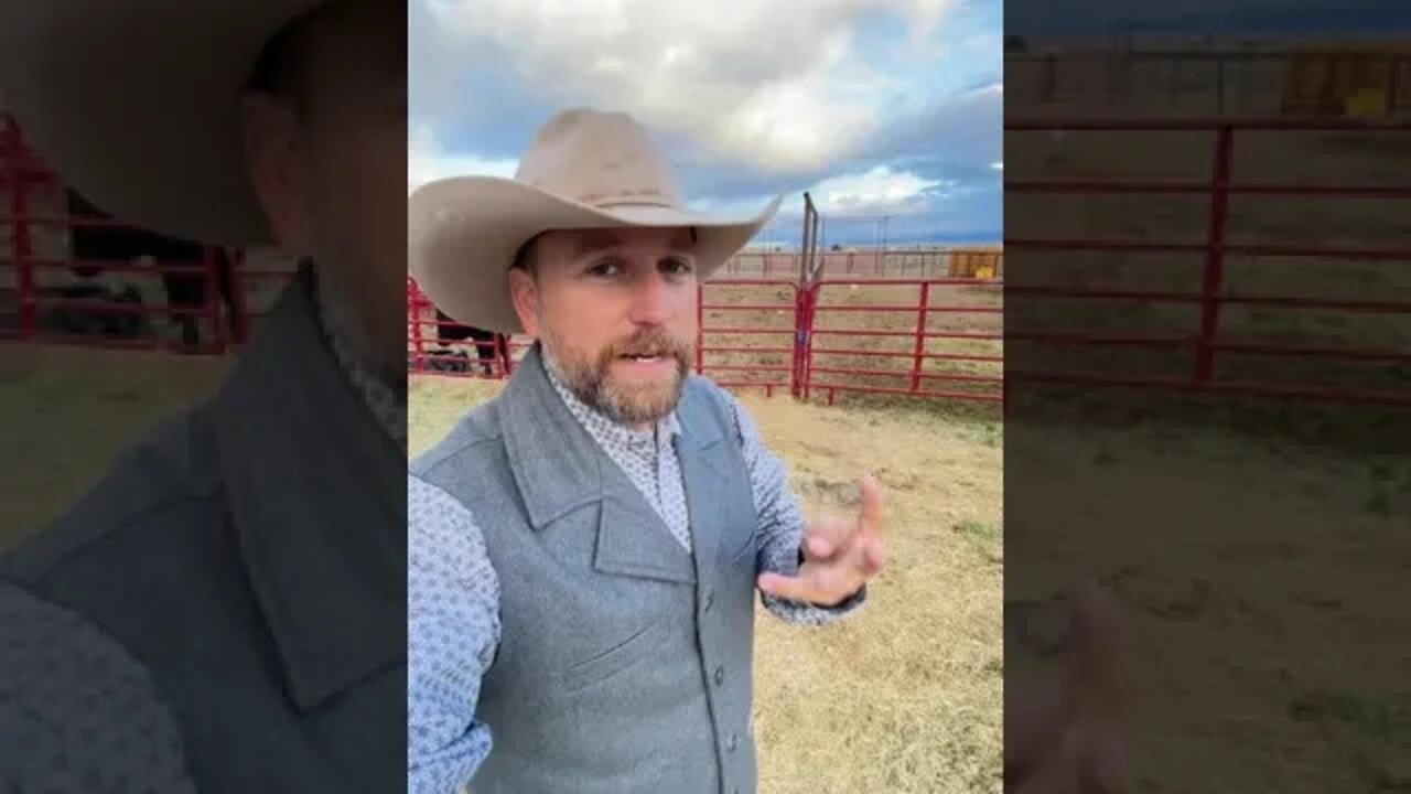 How Much Land Does a Rancher Need to Make Money?