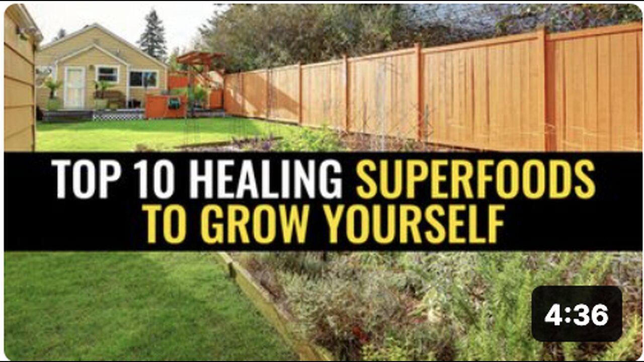 Top 10 healing superfoods to grow yourself