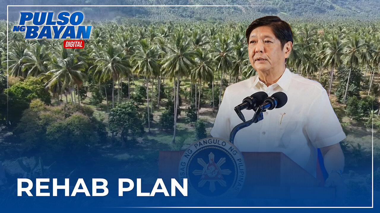 PCA, inatasan ni PBBM na gumawa ng rehab plan para sa coconut industry; 100-M niyog, target itanim