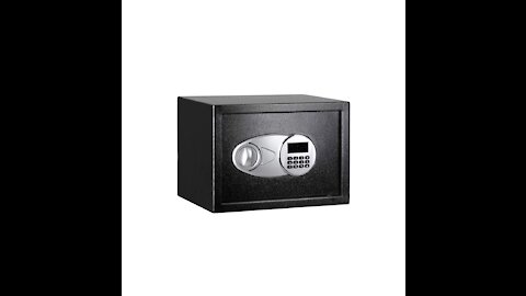 Amazon Find #1:Security Safe