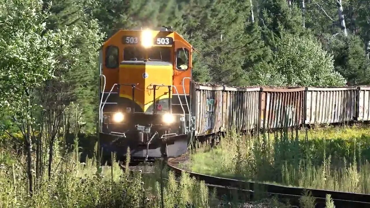 Now I Have To Worry About BEARS Too While Filming Trains? Huh!? #trains | Jason Asselin