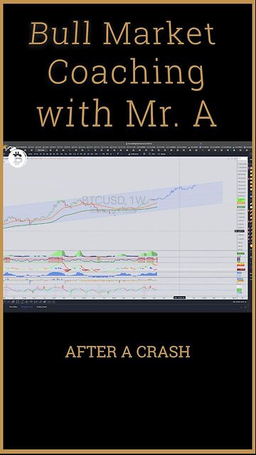 Capitalize on Bitcoin Crashes with The Crypto Vigilante!