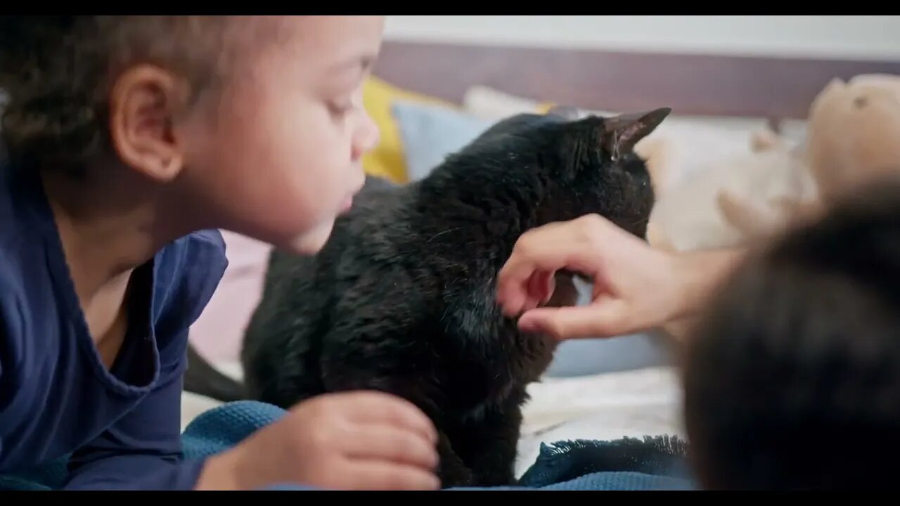 KUCING LUCU #PART 76