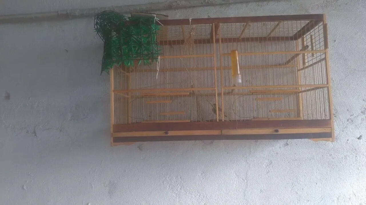 7 de fevereiro de 2022