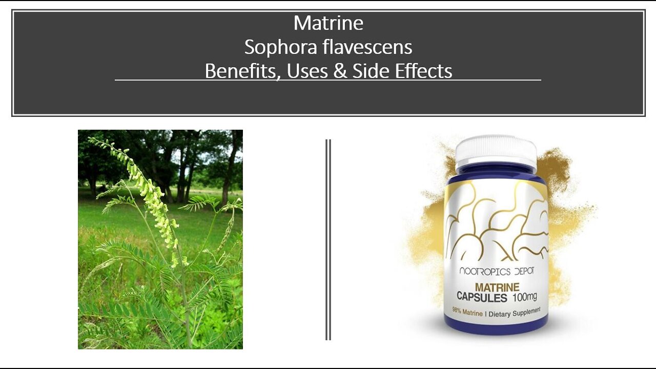 Matrine - Sophora flavescens - Benefits, Uses & Side Effects