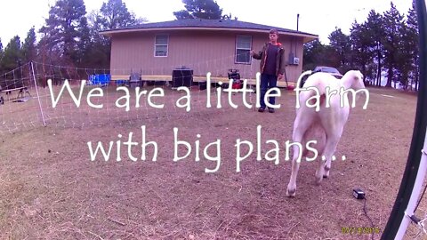TexasBoys working on the old homestead