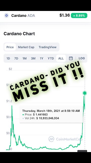 Cardano is Pumping! What you would have today with just $1k in Cardano one year ago!