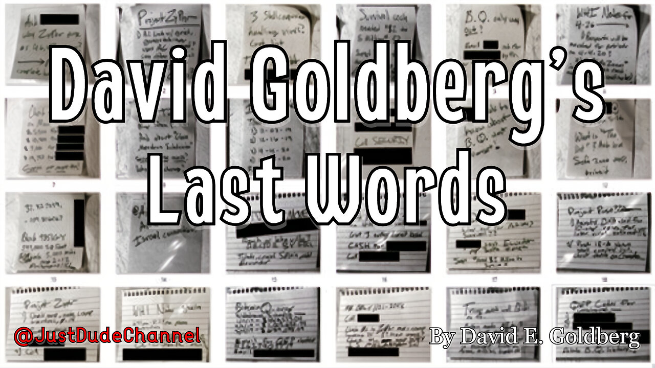 David Goldberg's Last Words - Classified Files Unearth Lethal Project Pogo & Project Zyphr