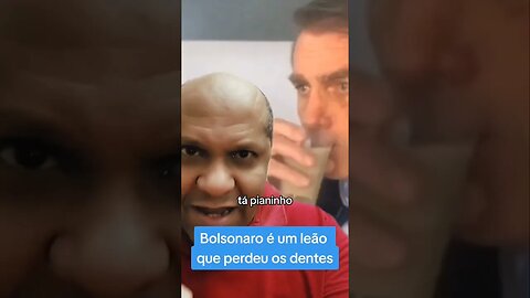 Bolsonaro é um leão que perdeu os dentes