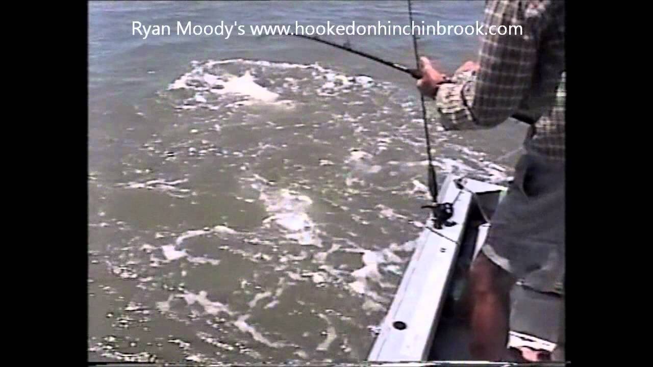 Ryan Moody's Big Barramundi 2.wmv