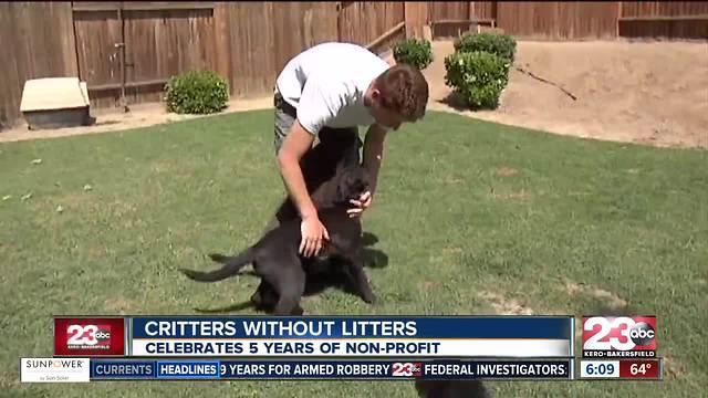 Critters Without Litters celebrates their five year anniversary