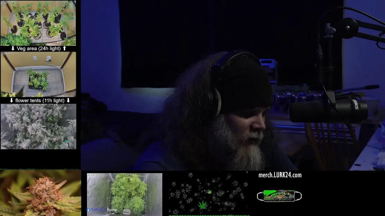 mental motivation (and bong hits)