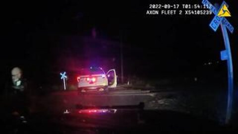 Dashcam video: Train slams into police car with suspect handcuffed in back seat