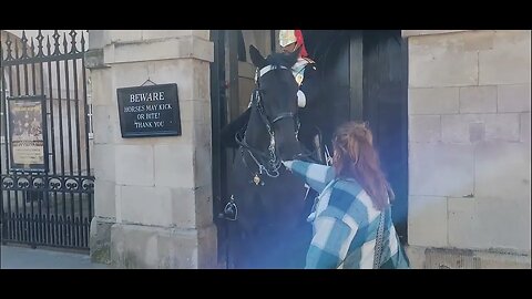 Horse Shakes her hand #horseguardsparade