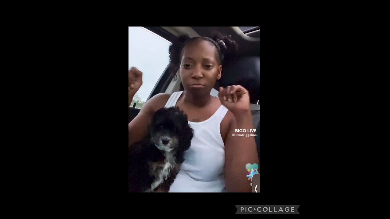 21BB SAYS POLICE TOOK HER DOG~SO SHE GOT ANOTHER ONE! BIGO LIVE