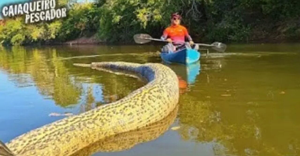 Anaconda Attacks Kayak