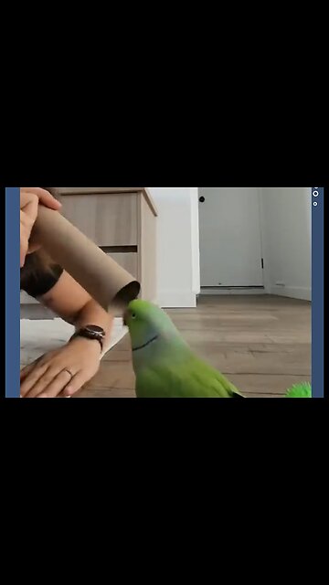 Funniest and cute Animals part 7