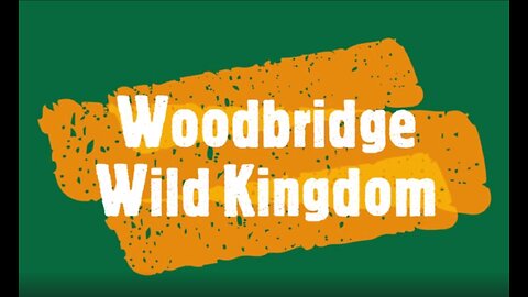 Woodbridge Wild Kingdom