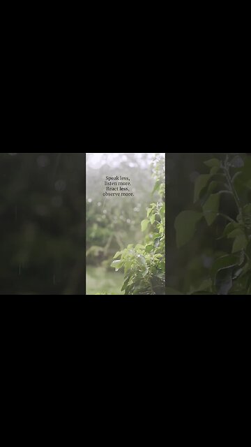 The Power of Listening: Unlocking Wisdom Through Observation