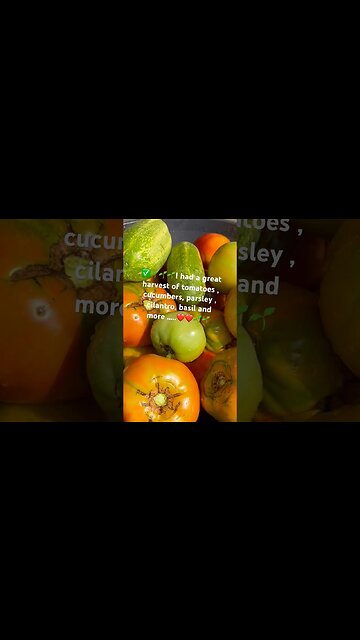 Farewell to My Garden and Fresh Veggies 🌱😢