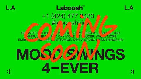 MOOD SWINGS 4-EVER - Be Loud, Be Different - Laboosh.com