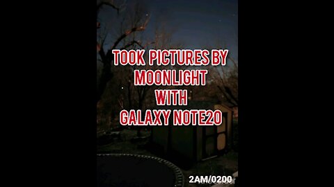 SIMPLY SURPRISING PHOTOS