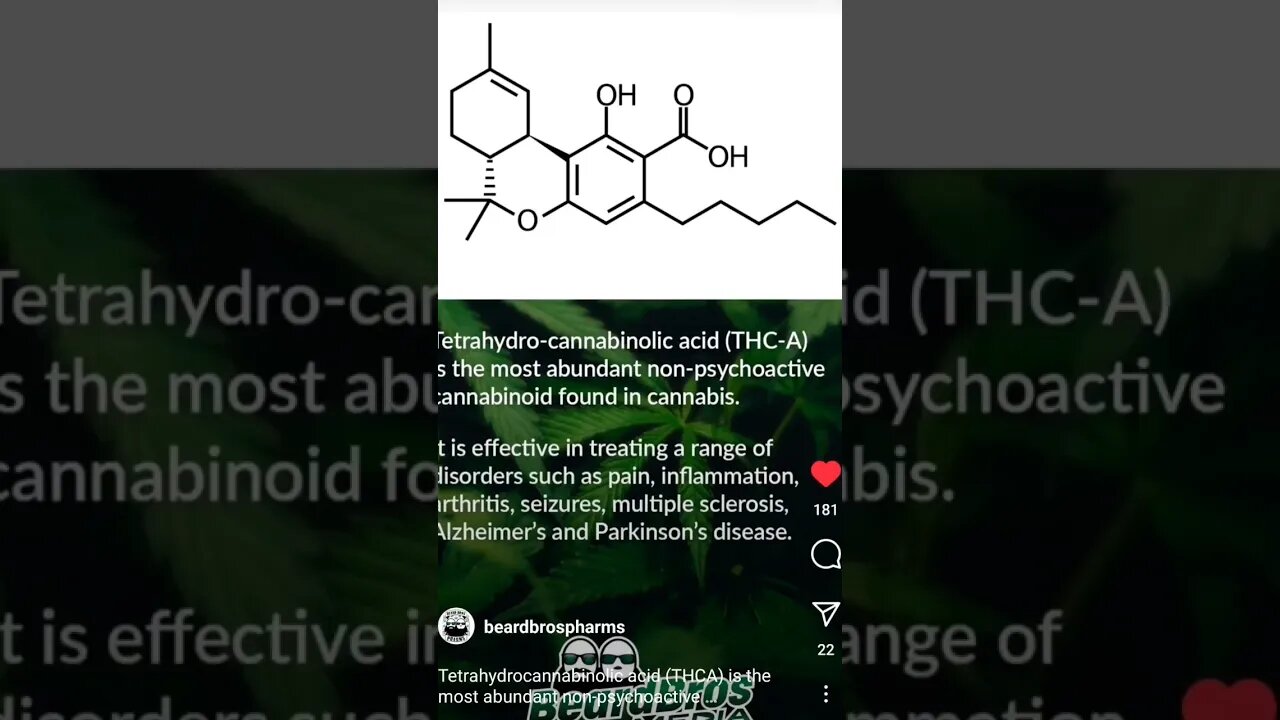 What is THC-A ? (TETRAHYDRO-CANNABINOLIC ACID) #shorts