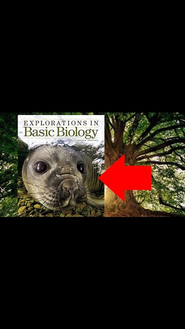 Breaking NEWS! They Can't Stand This